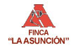 Logo de cliente de Xurdir